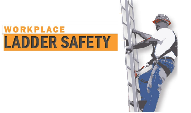 Workplace Ladder Safety