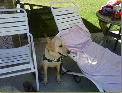 Reyna hangs out by the pool.