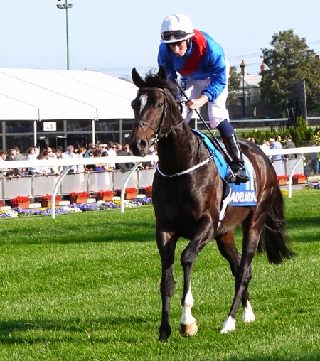 race 8 _adelaide 4