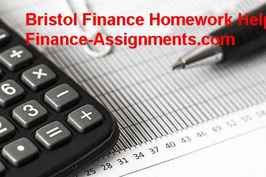 Emerging Role Of Finance Managers In India Assignment Help