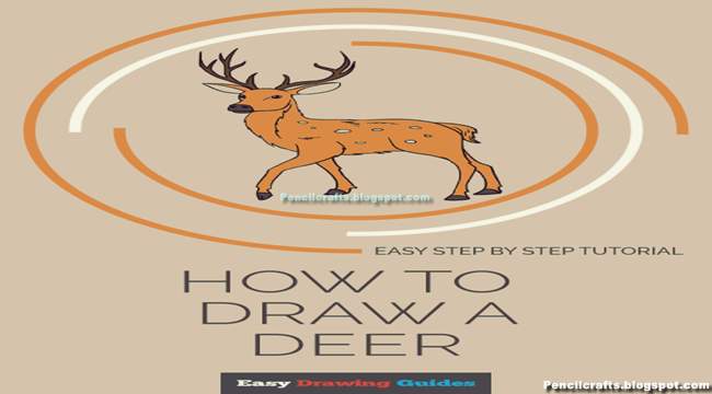 Color Pencil drawing Deer-beginner