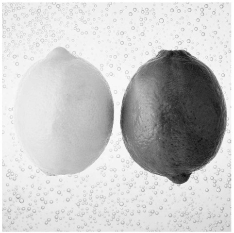 The tartness of lemons and limes is a function of their acidity—specifically the way in which citric acid molecules fit into the tongue's "sweet" receptors. 