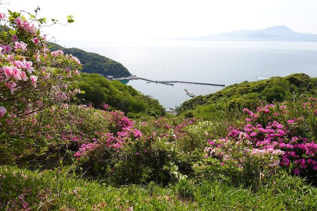 島根県松江市美保関町美保関 五本松公園