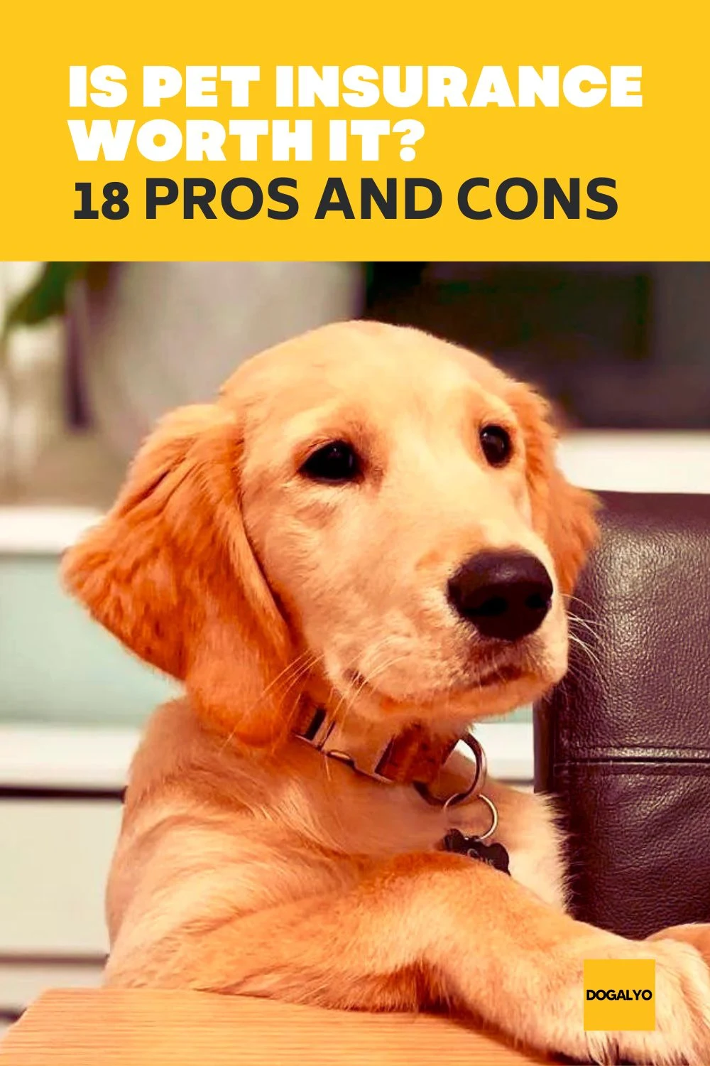 18 Pros and Cons of Dog Insurance