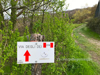 Bologna - Firenze (Via degli Dei), trekking hiking slike