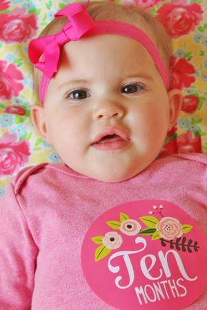 IMG_5861 IMG_5861