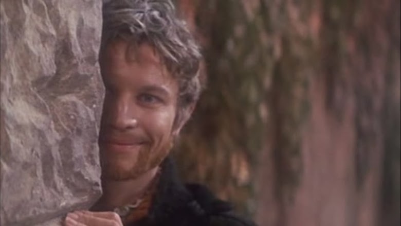 The Taming of the Shrew 1967 1080p online