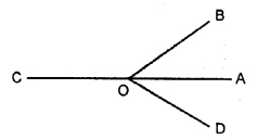 Selina Concise Mathematics Class 6 ICSE Solutions Chapter 24 Angles (With their Types)