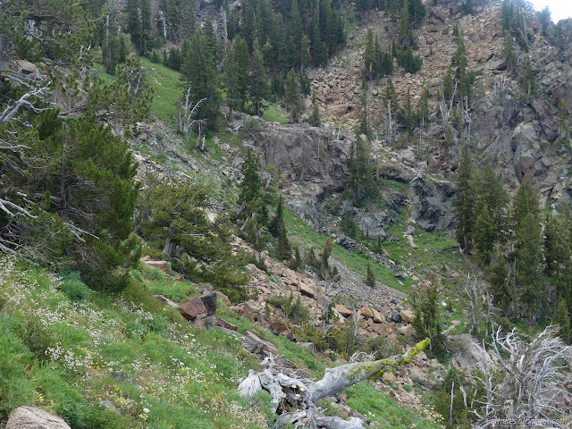 104: rocky and grassy steep slope