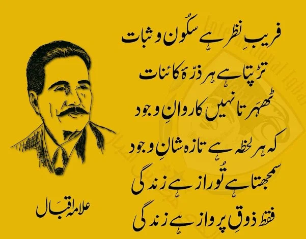 #allamaIqbal #IIS #saqinama #life #stability