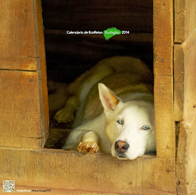 EcoCalendario 2014