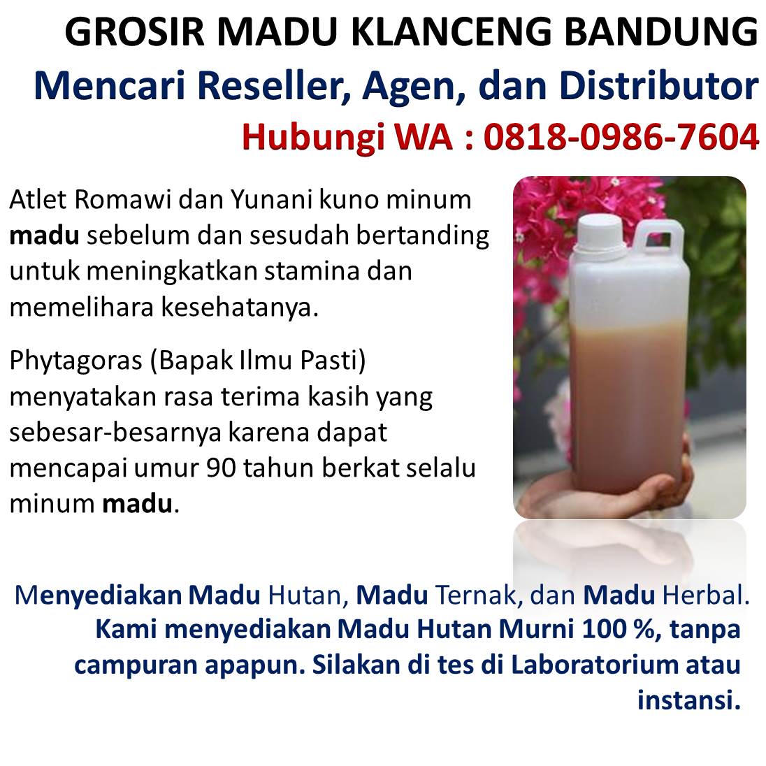 madu klanceng untuk ibu hamil