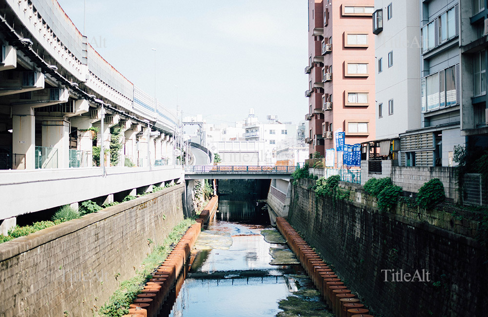 東京の川の写真