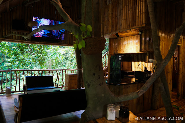 Cebu | Treehouse de Valentine, Balamban