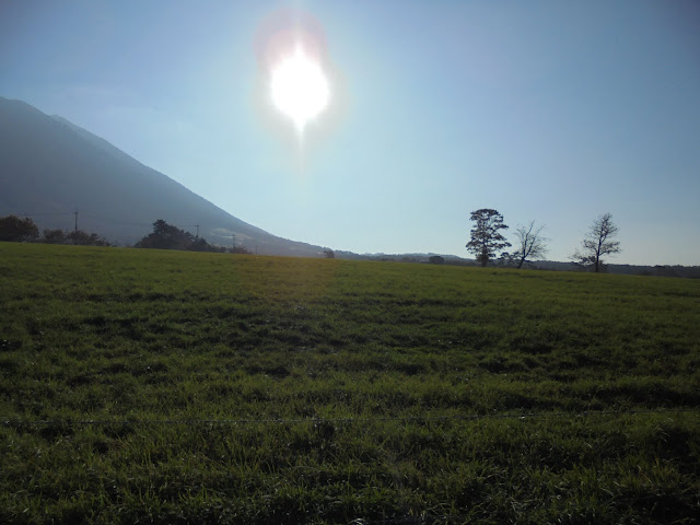 大山牧場の牧草地の風景