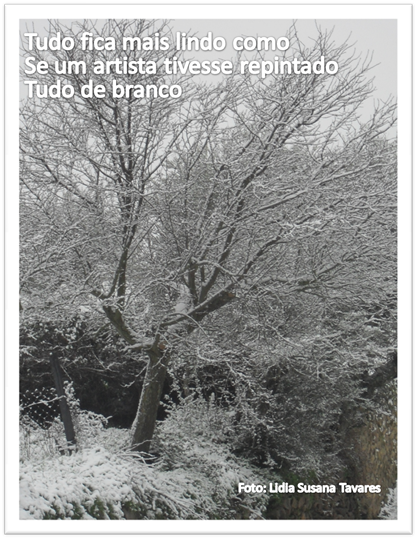 Imagem3