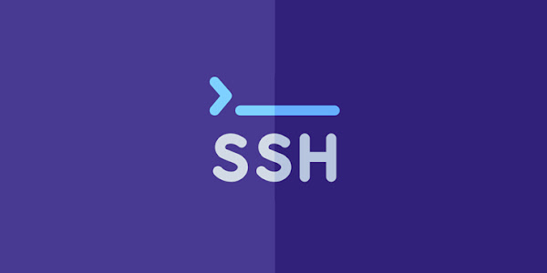OpenSSH lança patch para nova vulnerabilidade pré-autenticação gratuita dupla