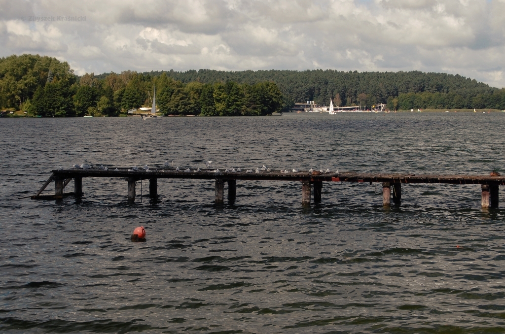 Olsztyn | Jezioro Ukiel, plaża miejska i moja strefa slow