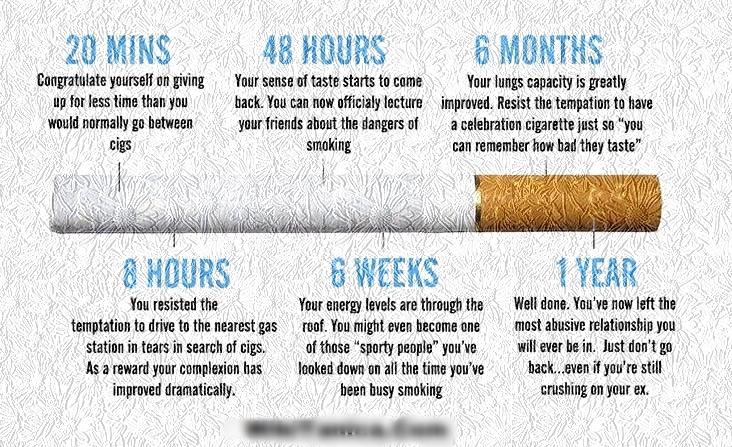  Motivational  Quotes  to Help Quit Smoking  Shainginfoz