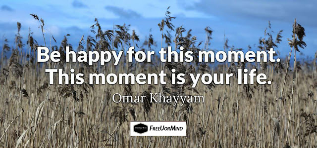 Be happy for this moment. This moment is your life.  - Omar Khayyam