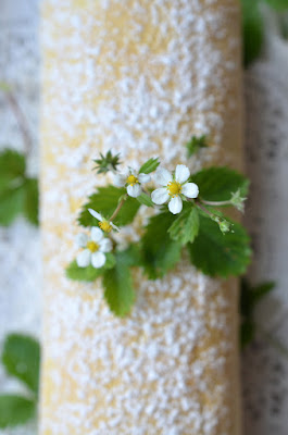 Nahaufnahme von Walderdbeerblüten und -blättern, die als Dekoration auf der bezuckerten Walderdbeer-Roulade angebracht sind.