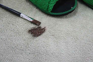 How to Get Paint Out of Carpet