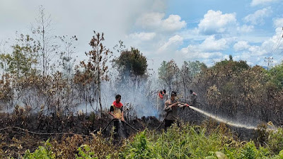 Tertinggi di Kalbar, Hari Ini (1/4) Hot Spot di Mempawah Capai 315 Titik