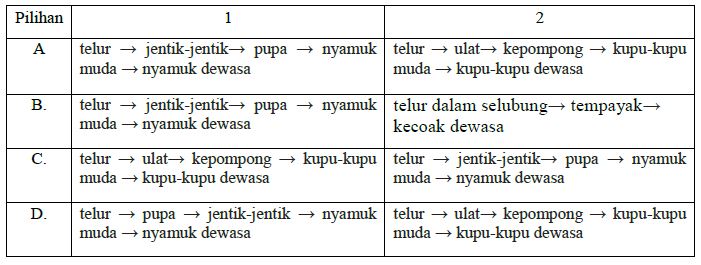 SOAL LATIHAN DAN KUNCI JAWABAN UJIAN SEKOLAH IPA KELAS 6 