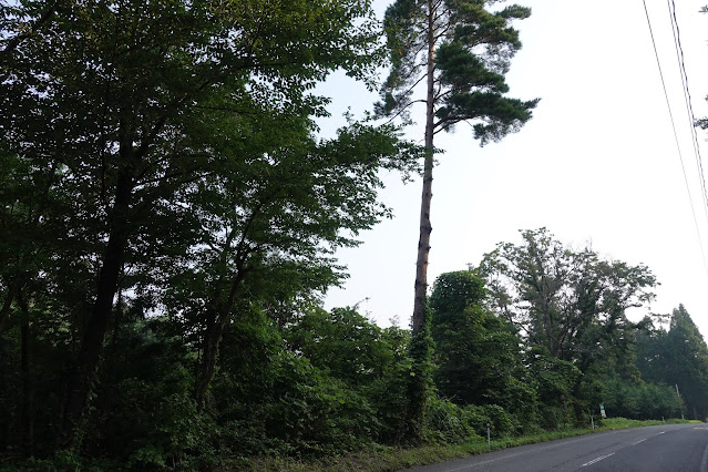 鳥取県道36号線名和岸本線