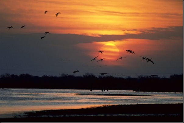 Lindas imagens do pôr do Sol (10)