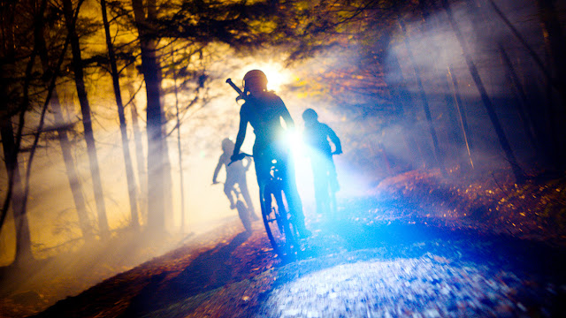 kids riding bikes through spooky woods