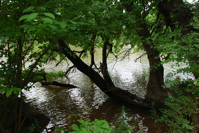 Theodore Roosevelt Island