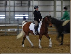 Shaggy Show, nice trot