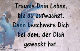 lustige bilder whatsapp