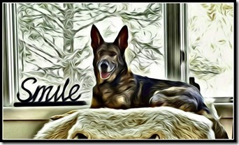 2015.12.13 Jake at window