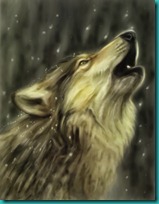 lobos imagenesifotos (4)