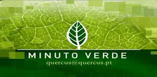 https://www.rtp.pt/play/p55/e282102/minuto-verde