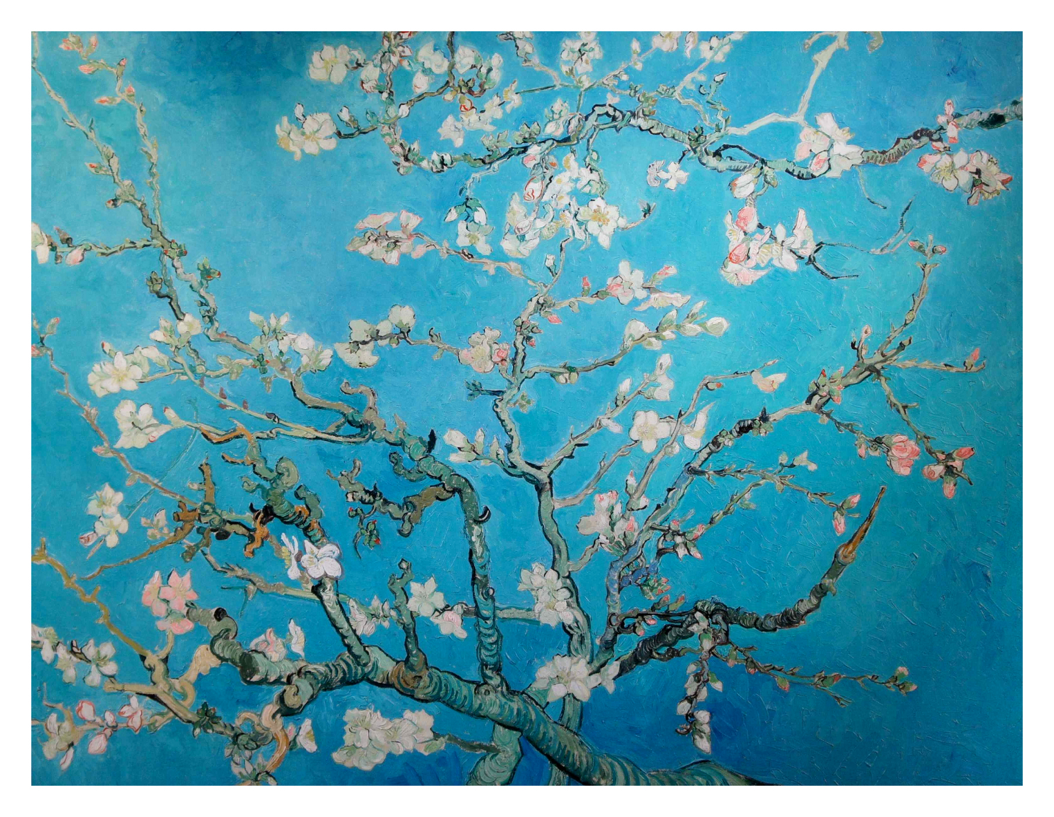 Vincent van Gogh - Amandelbloesem (Almond Blossom)