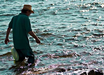 Gathering Limpets