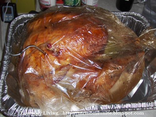 photo of a cooked turkey