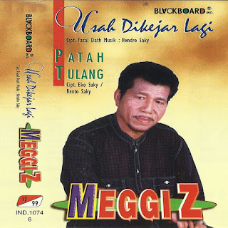 MP3 download Meggi Z - Usah Dikejar Lagi iTunes plus aac m4a mp3