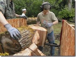 wood 19
