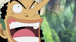 ワンピース アニメ 空島 スカイピア 167話 ウソップ | ONE PIECE Episode 167 Skypiea