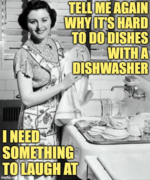 Tell me again why it's hard to do dishes with a dishwasher. I need something to laugh at. (JenExxifer | GenX Housewife Memes)