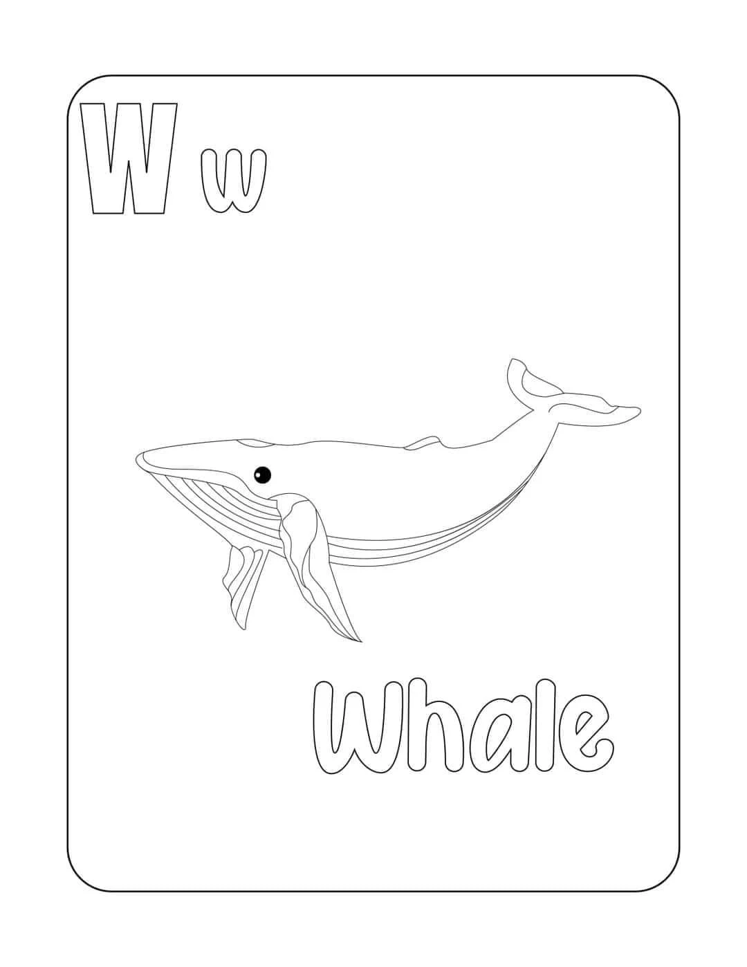 Tranh tô màu con (Whale)