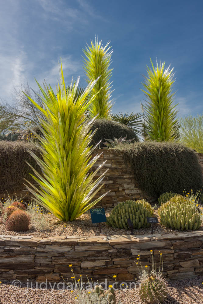 Chihuly art at Desert Botanical Gardens