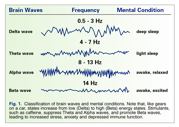 Brain Waves3