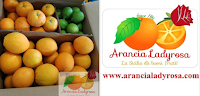 Logo Giveaway Arancia Ladyrosa: vinci gratis confezione agrumi misti, paste di mandorle e salsa si pomodoro