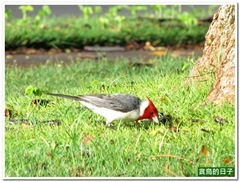 20130603_014848_035_Hawaii
