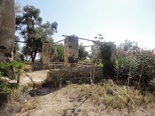 L'isolotto di Vivara - casa colonica